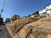 南東側境界付（2025年11月撮影）-2