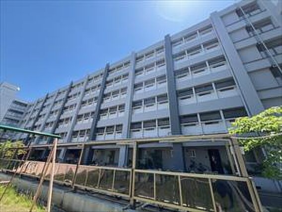 現地写真2
