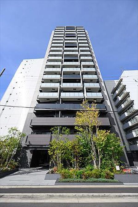 現地写真(2025年9月撮影)