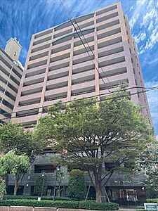 外観：外観