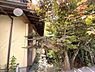 その他：敷地内写真3