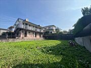 現地写真
