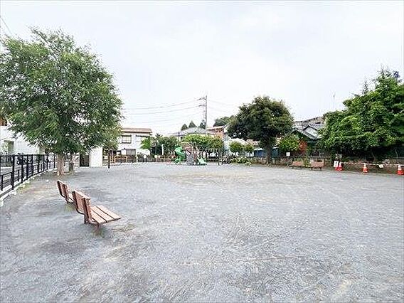 六浦白梅公園3...