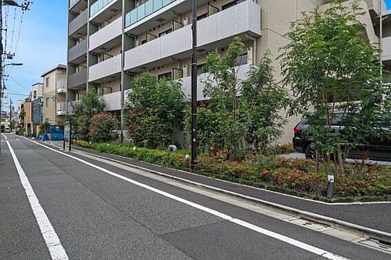 前面道路