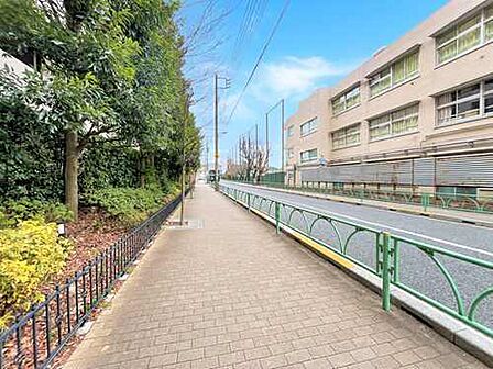 南西側現地前面道路2025年10月撮影】