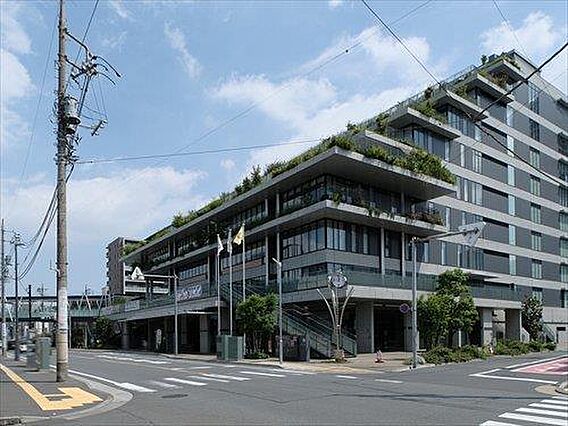 川口市役所 7...