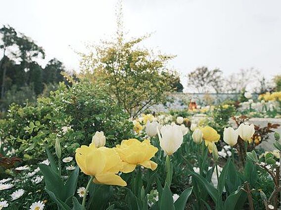 光綾公園 10...