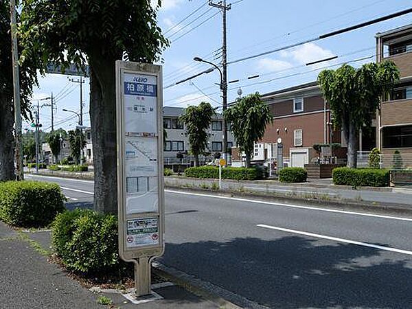その他を拡大表示
