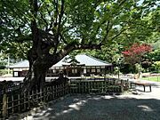 鶴川香山園 1830m