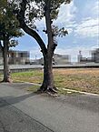 愛知県豊川市新道町1丁目：物件画像