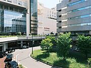 イトーヨーカドー新百合ヶ丘店 1000m
