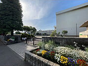上鶴間小学校