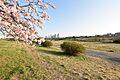 多摩川の河川敷...