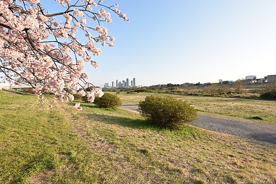 多摩川の河川敷...