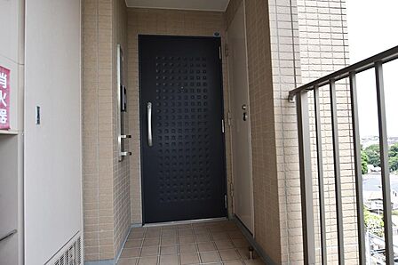2026年6月11日撮影