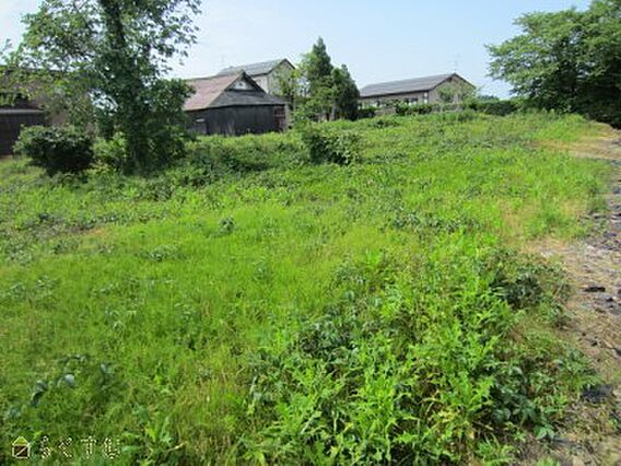 その他現地