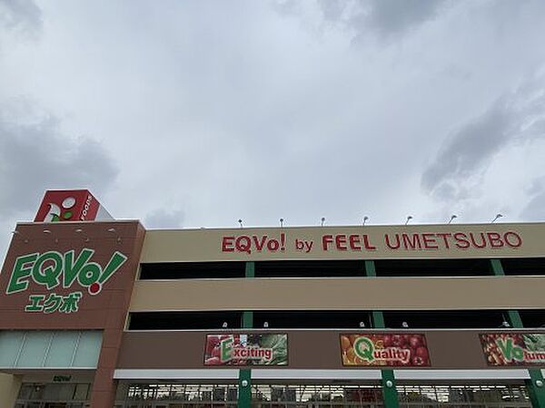 画像30:【スーパー】ＥＱＶｏ梅坪店まで1210ｍ