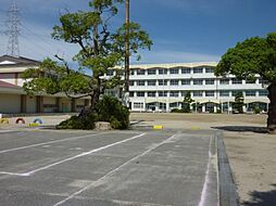 【小学校】津島市立西小学校まで484ｍ
