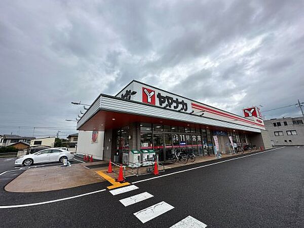 画像29:【スーパー】ヤマナカ鳥居松店まで699ｍ