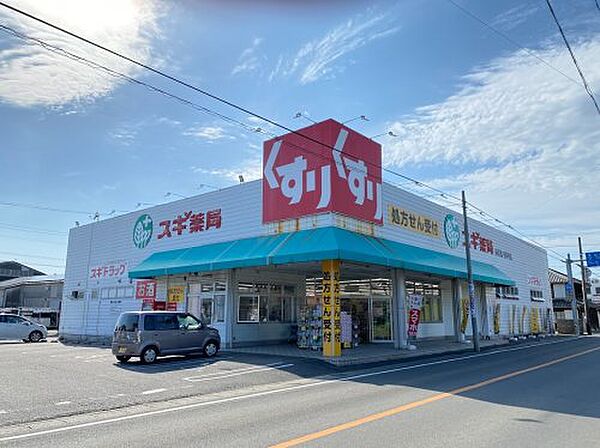 画像26:【ドラッグストア】スギ薬局 市場店まで223ｍ