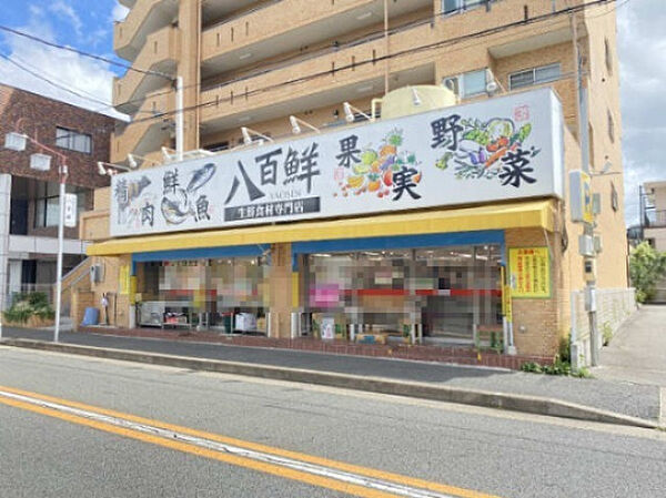 画像26:【スーパー】生鮮食材専門店　八百鮮　川原通店まで775ｍ