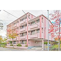 グランドハイツ 305 ｜ 愛知県名古屋市天白区保呂町1512番地（賃貸マンション3LDK・3階・61.98㎡） その27