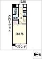 キャッスルヒルズ柳ケ瀬13階5.1万円