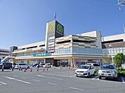 マミーマート 所沢山口店