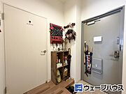 2026年3月撮影