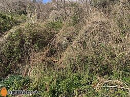 不動産販売　愛媛総合1914　土地　今治市吉海町名