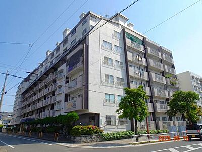 外観 外観