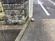 南東側境界