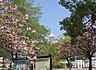 周辺：やぐるま街道横の公園