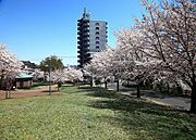 足利公園まで500ｍ♪
