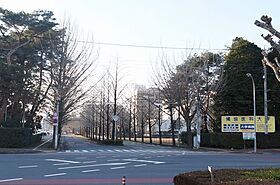 ｇｅｍ　ｖｉｏｌａ　Ａ 00207 ｜ 栃木県下都賀郡壬生町緑町３丁目8-3（賃貸アパート1LDK・2階・32.24㎡） その6
