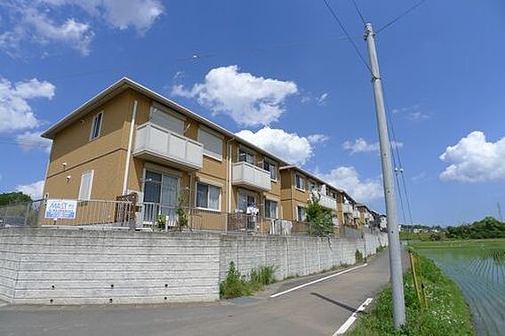 パストラル1_その他_1