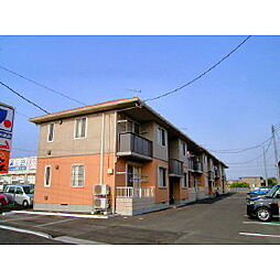 キャロッツ　c