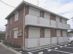 ウィルコートコガネ　Ｂ