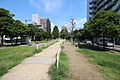 公園「新宿緑道...