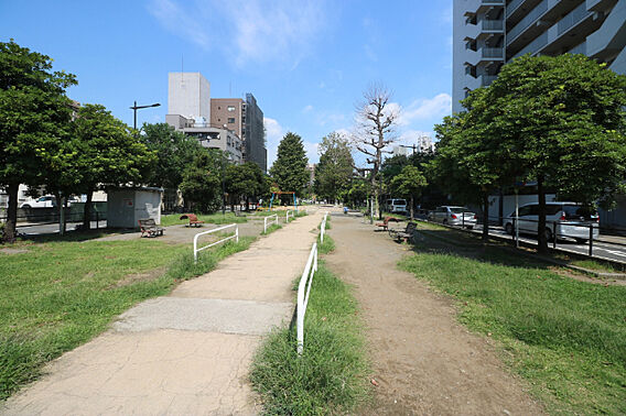 公園「新宿緑道...