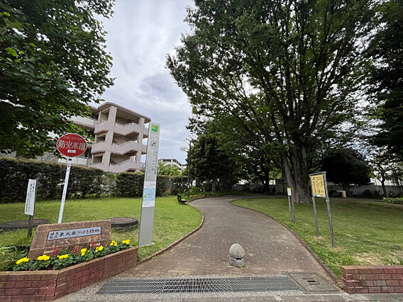 公園「東大泉つ...