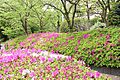 公園「西大井広...