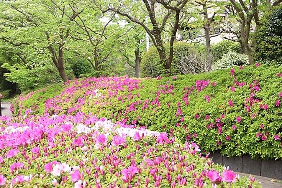 公園「西大井広...