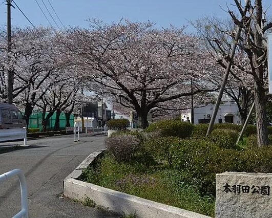 公園「本羽田公...