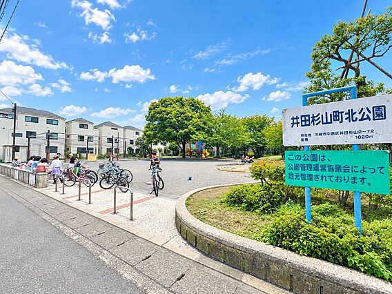 公園「井田杉山...