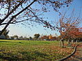 公園「宇喜田公...