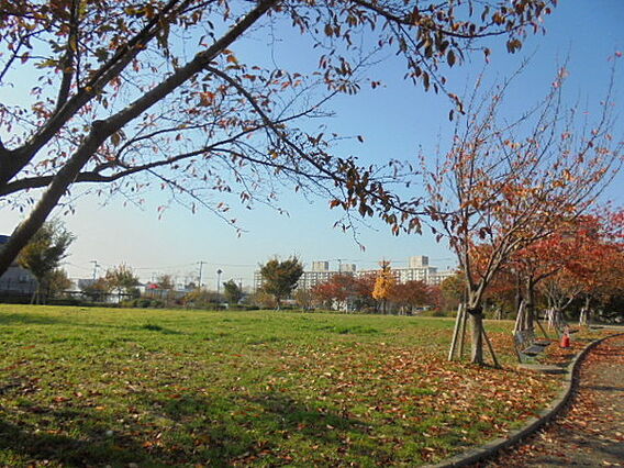 公園「宇喜田公...