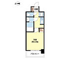 ESRISE京都河原町10階6.5万円