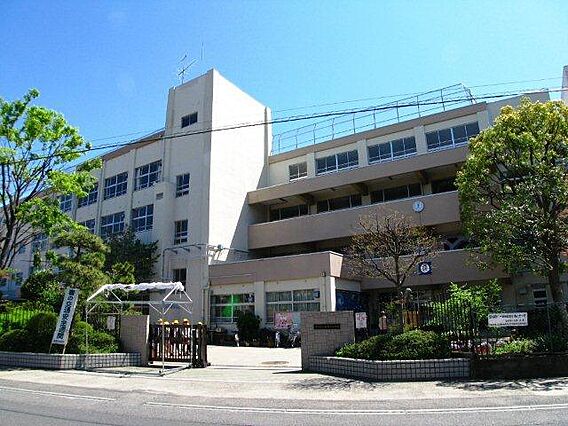 小学校「市川市...