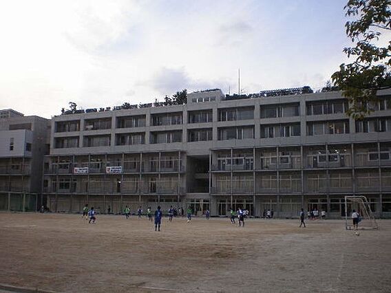 中学校「市川市...